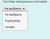 custompay.png